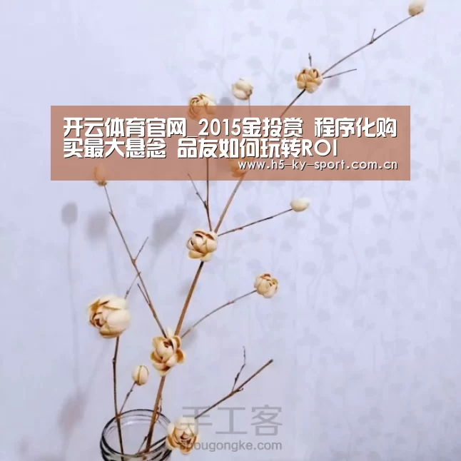 开云体育官网_2015金投赏 程序化购买最大悬念 品友如何玩转ROI(图3) 开云